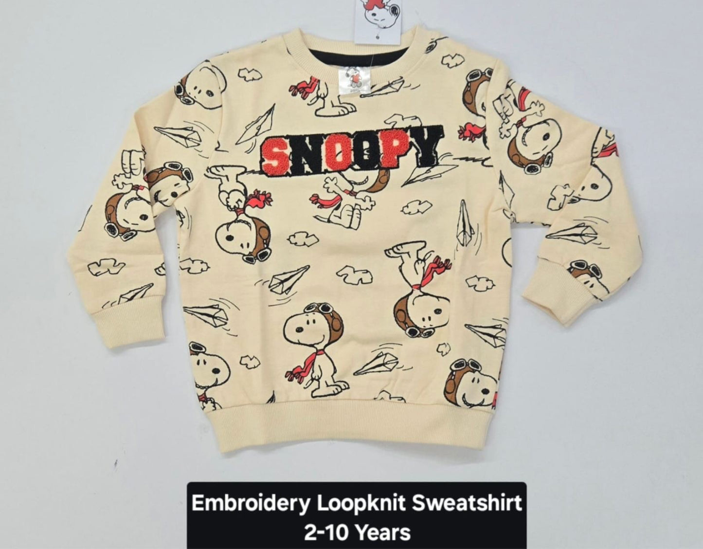 Kids Cartoon Print Embroidered Loopknit Sweatshirt – Cream Color